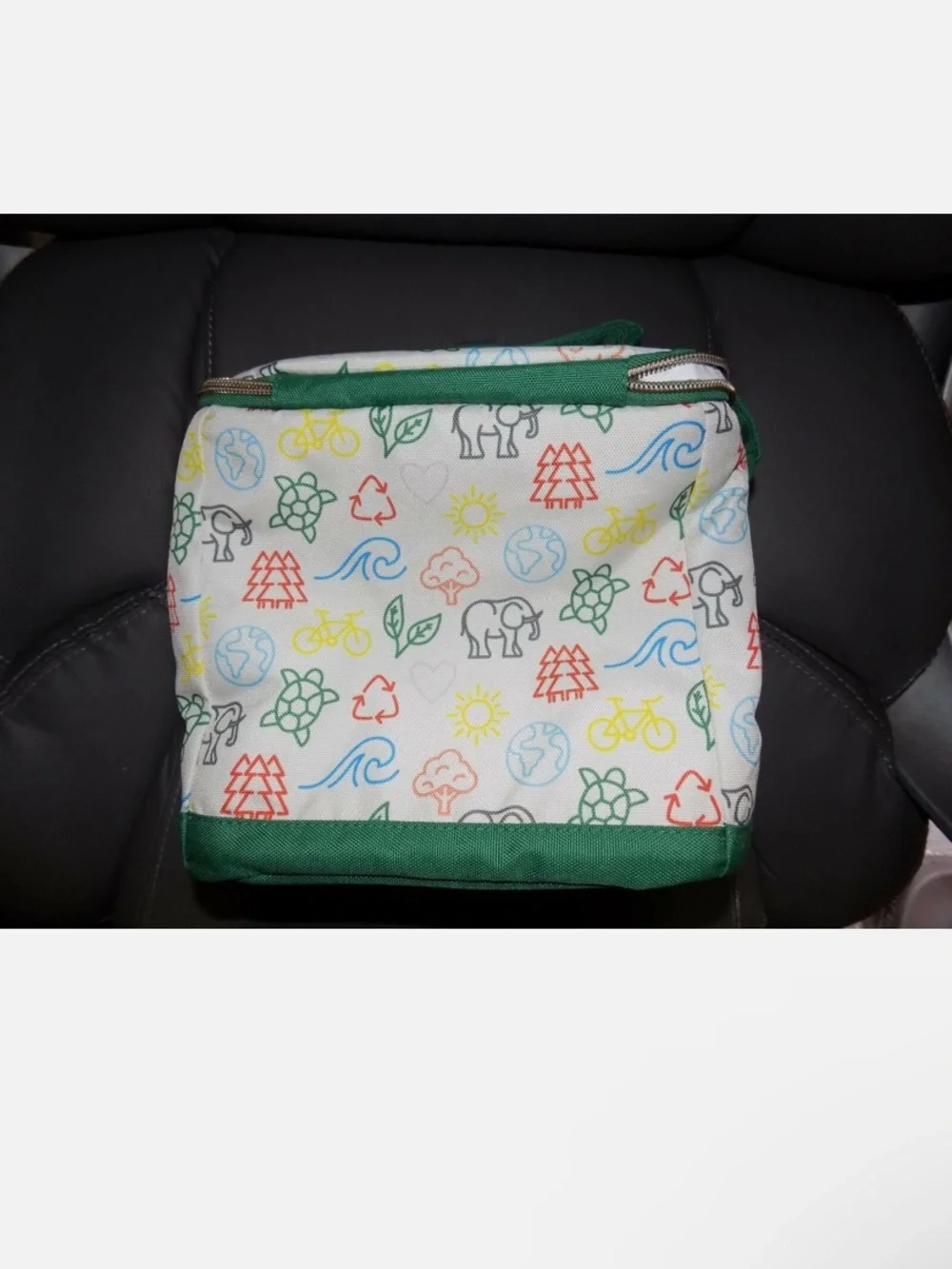 Fit and Fresh Cypress Lunch Tote Insulated Zipper Recycle Earth Elephant NEW